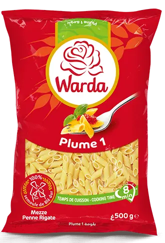 PLUME COURTE DE 500G N2 WARDA